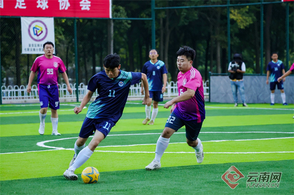 轮比赛的激, 和社会组分, alt 轮比赛的激, 和社会组分, alt