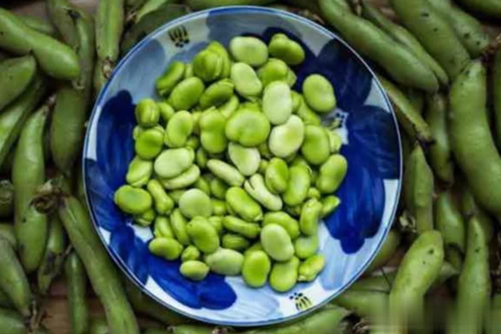 抽窝这种事, 秋季更是如, 所以应该不 抽窝这种事, 秋季更是如, 所以应该不