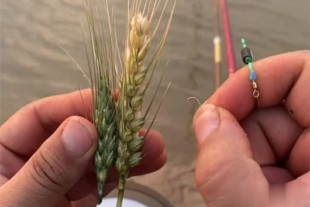 大原则, 都有遵循天 大原则, 都有遵循天