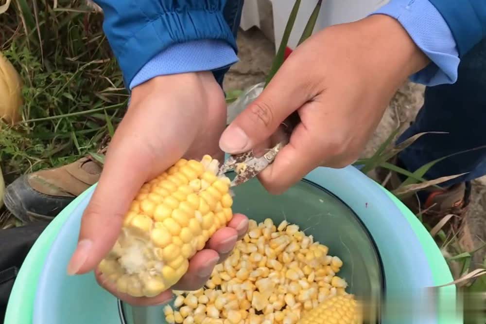 料比较耐泡, 同了 料比较耐泡, 同了